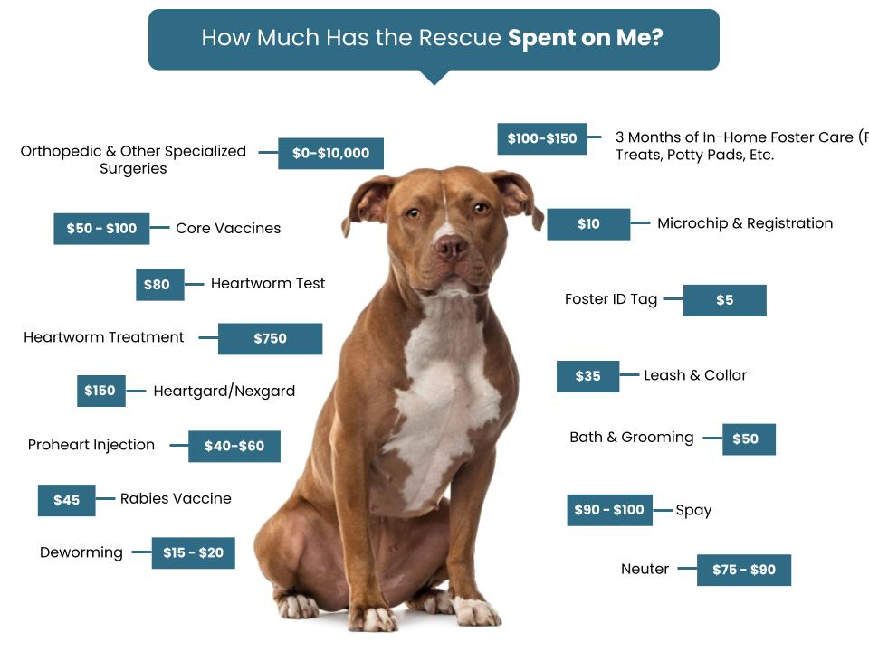 Tails of Hope Dog Rescue - Fee Graphic (1)